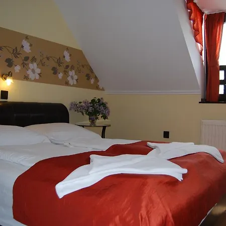 מלון Adler & Wellness 3*